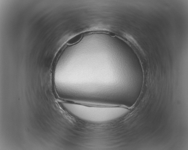 X0000080101268200612151612