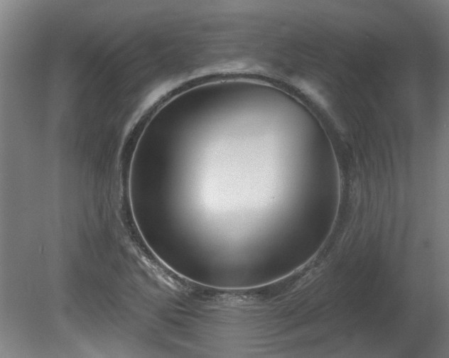 X0000080101270200612151612