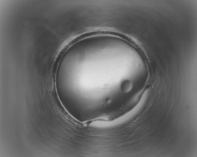 X0000080101271200612151611