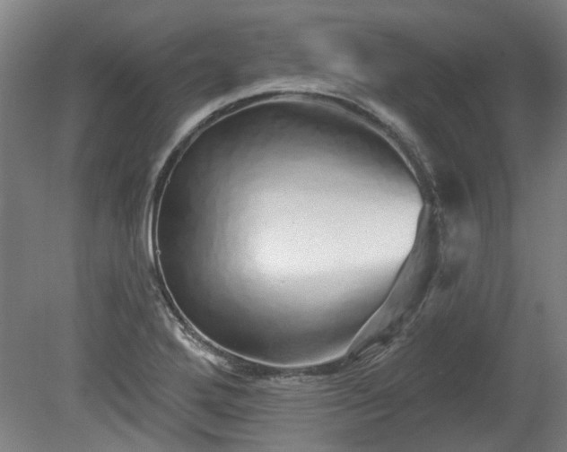 X0000080101272200612151611