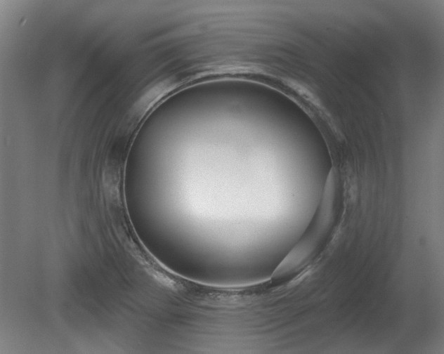 X0000080101273200612151611