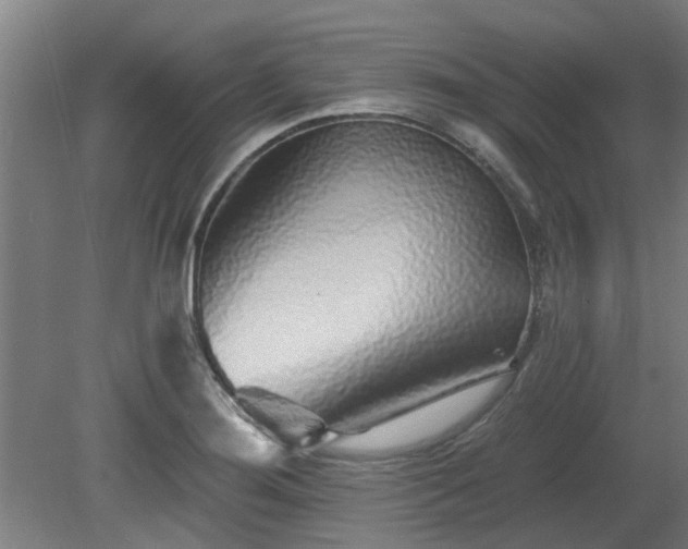 X0000080101276200612151611