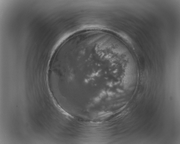 X0000080101279200612151611