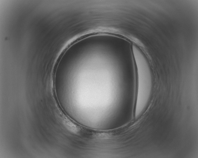 X0000080101280200612151611