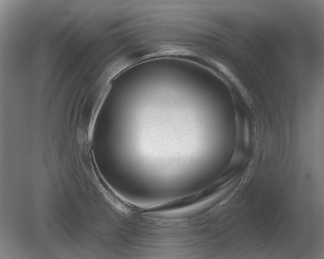 X0000080101281200612151611