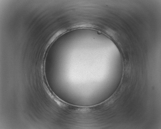 X0000080101282200612151611