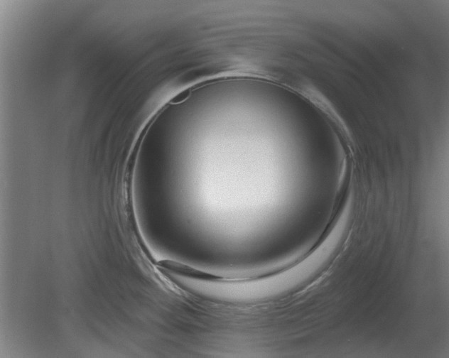 X0000080101292200612151611