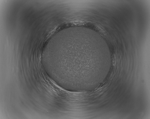X0000080101298200612151610