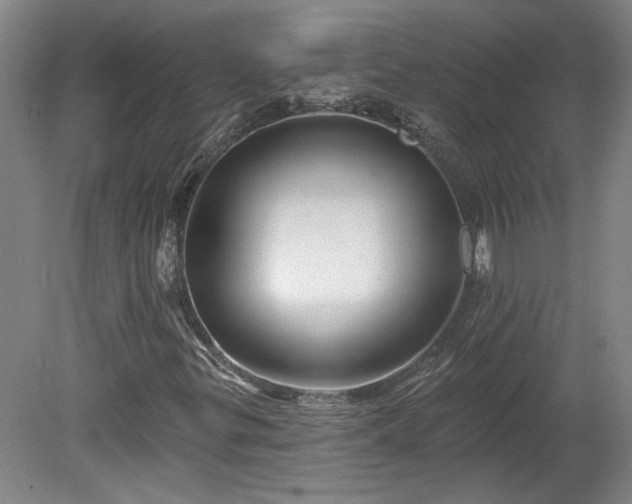 X0000080101299200612151610