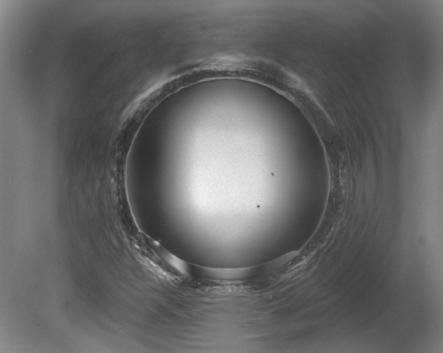 X0000080101304200612151610