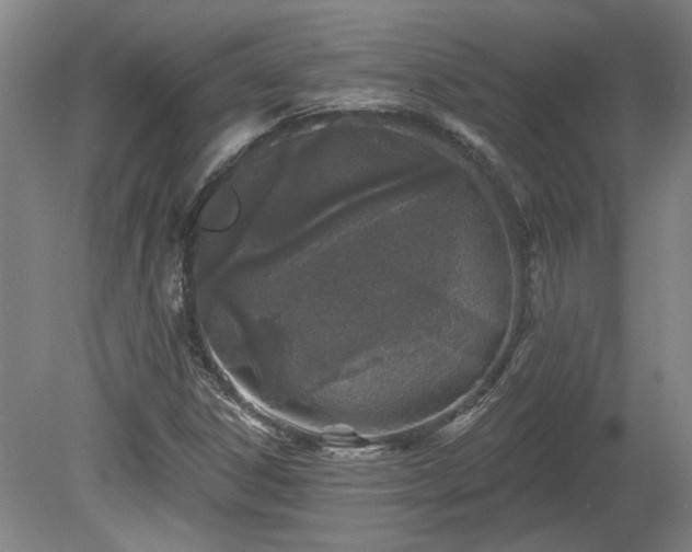 X0000080101306200612151610