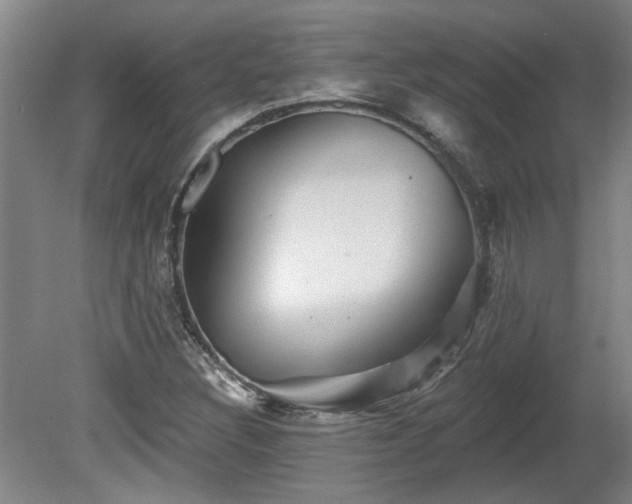 X0000080101308200612151610