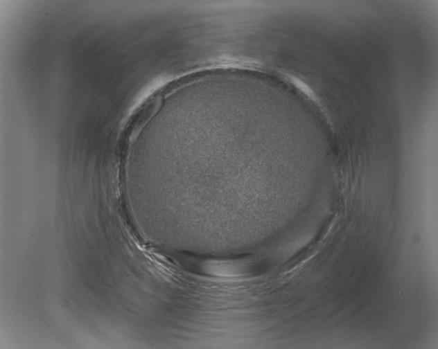X0000080101310200612151610
