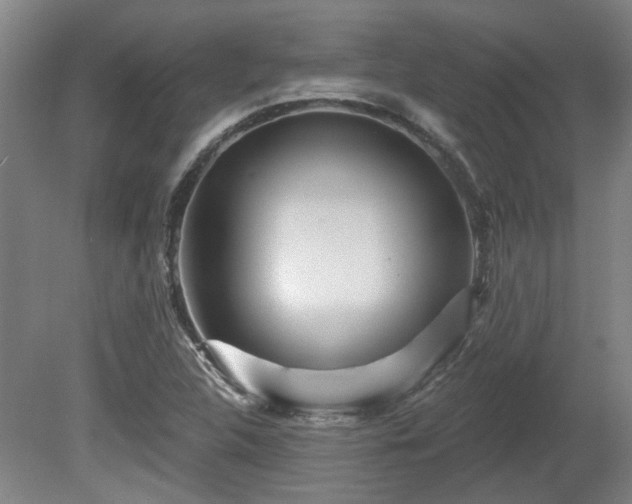 X0000080101312200612151611