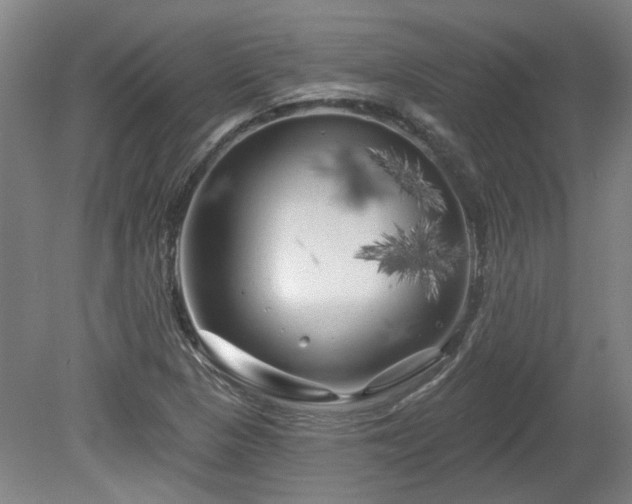 X0000080101313200612151611
