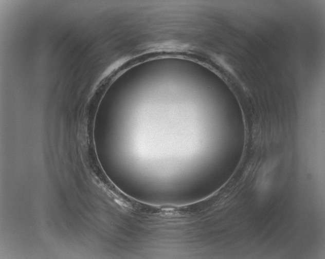 X0000080101315200612151611