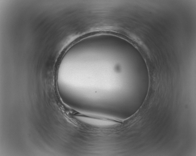 X0000080101316200612151611