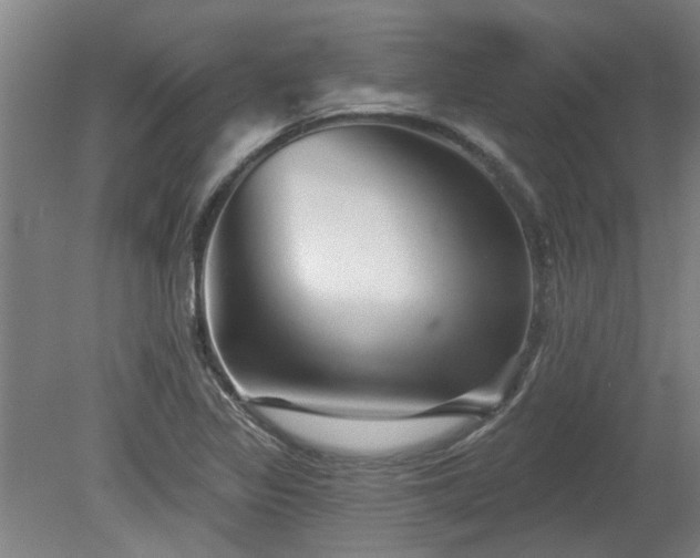 X0000080101317200612151611