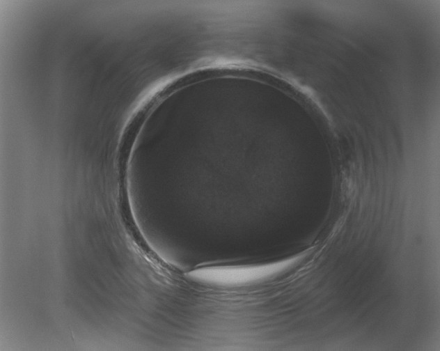 X0000080101319200612151611