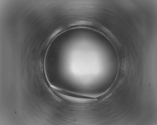 X0000080101321200612151611