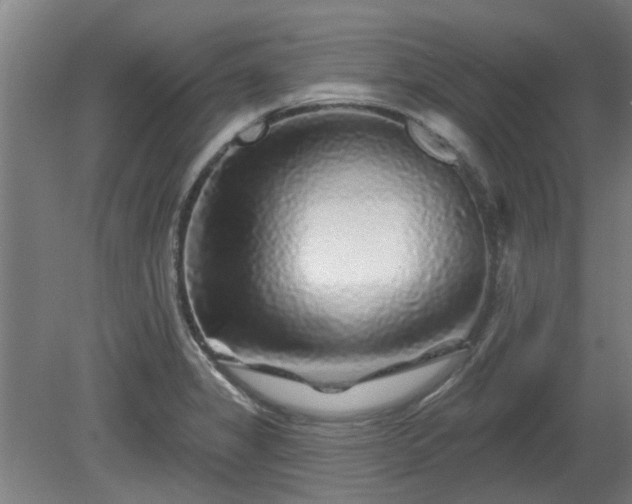 X0000080101325200612151611