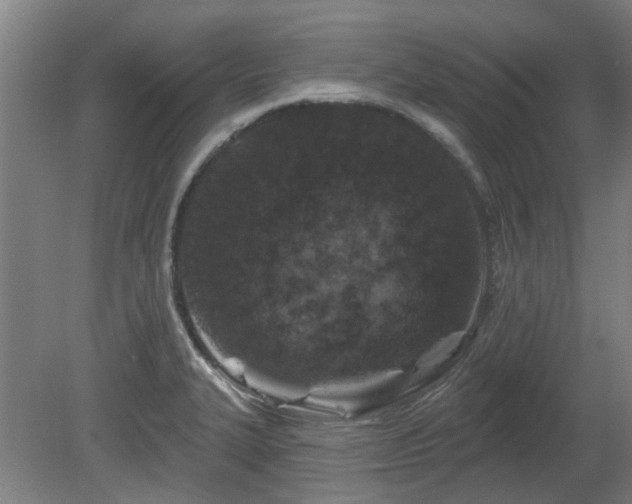 X0000080101327200612151611
