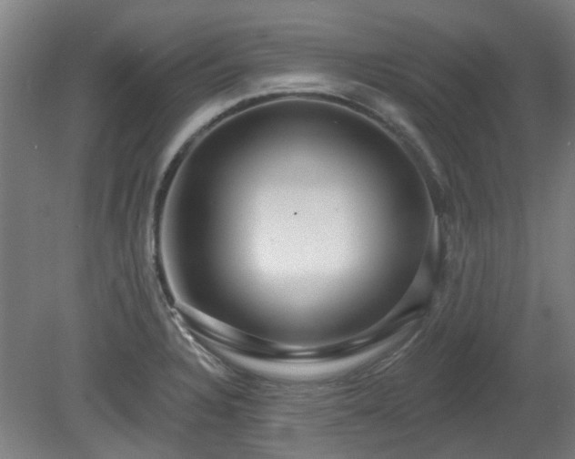X0000080101328200612151611
