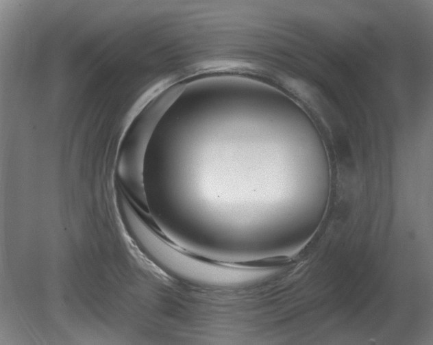 X0000080101330200612151611