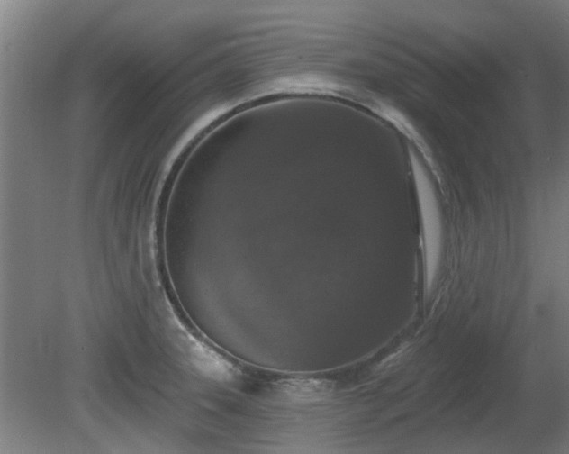 X0000080101331200612151611