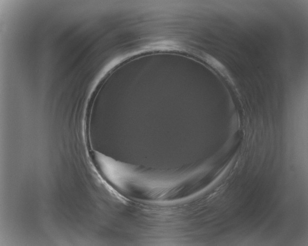 X0000080101334200612151611