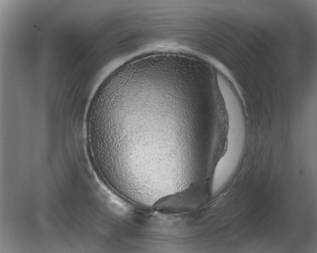 X0000080101335200612151611