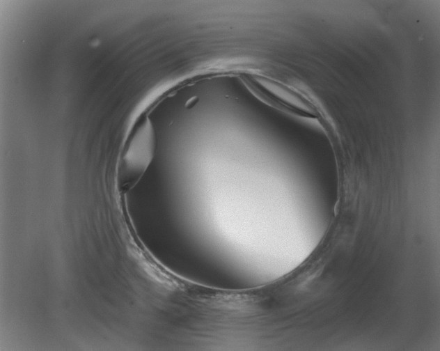 X0000080101336200612151611