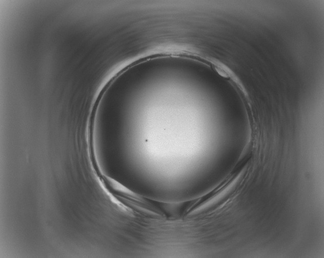 X0000080101343200612151611