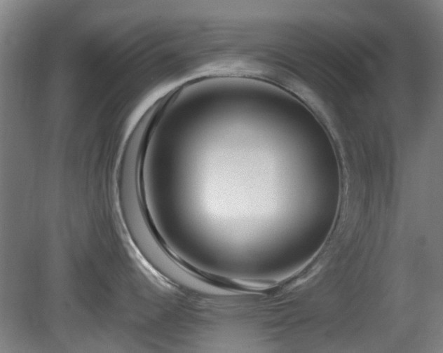 X0000080101344200612151611