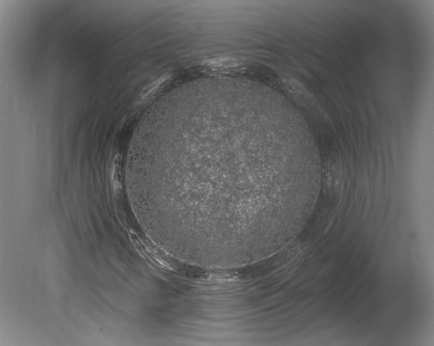 X0000080101346200612151610