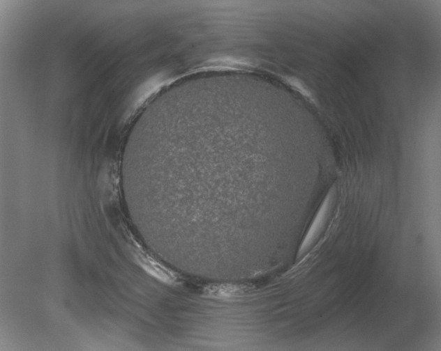 X0000080101355200612151610