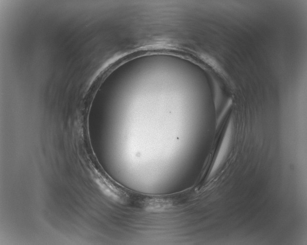 X0000080101356200612151610
