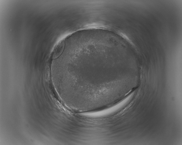 X0000080101358200612151610