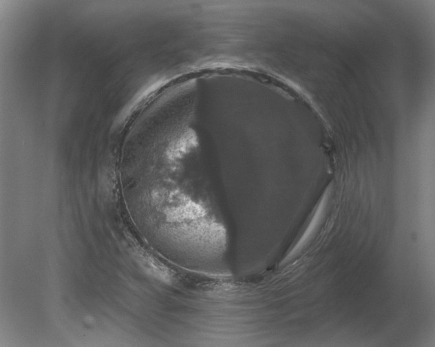 X0000080101359200612151610