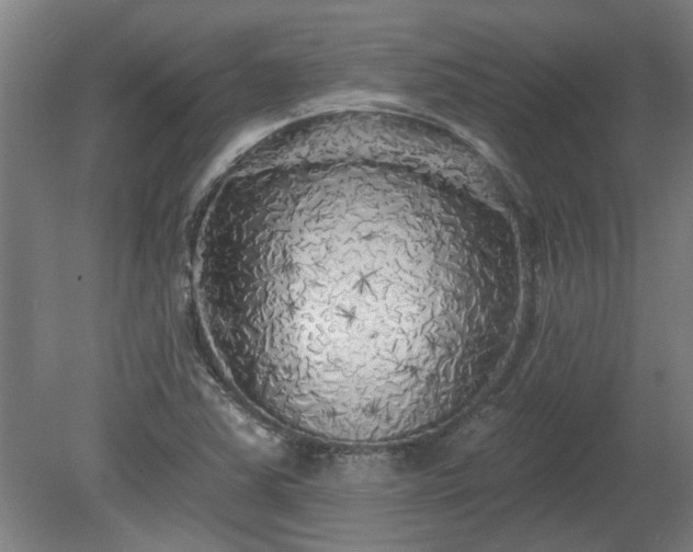 X0000080101363200612151610