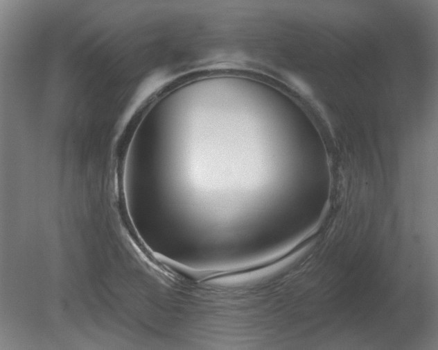 X0000080101368200612151610