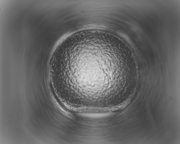 X0000080101371200612151610