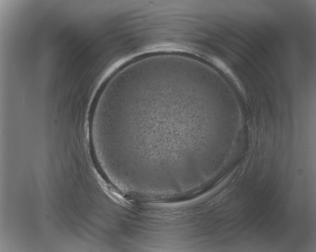 X0000080101372200612151610