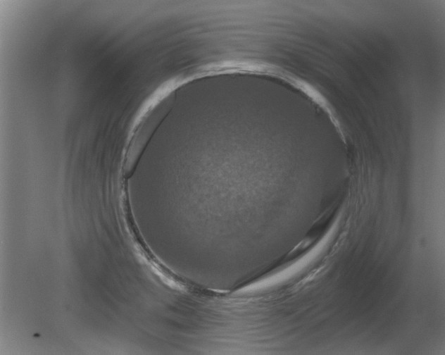 X0000080101373200612151610