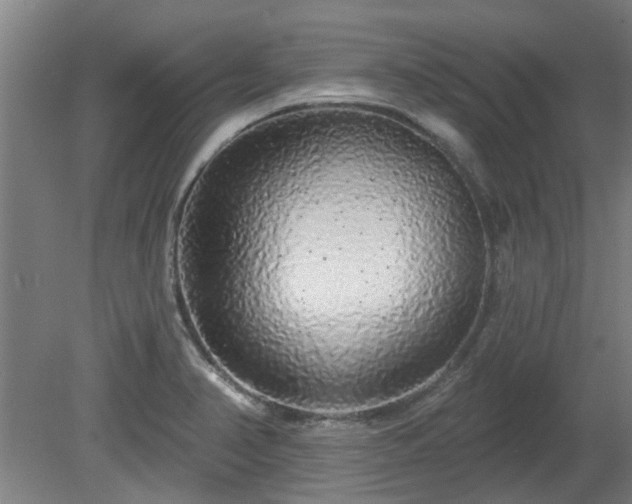 X0000080101374200612151610