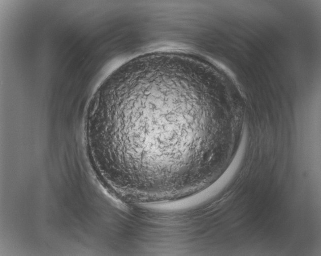 X0000080101375200612151610
