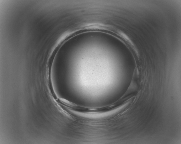 X0000080101376200612151610
