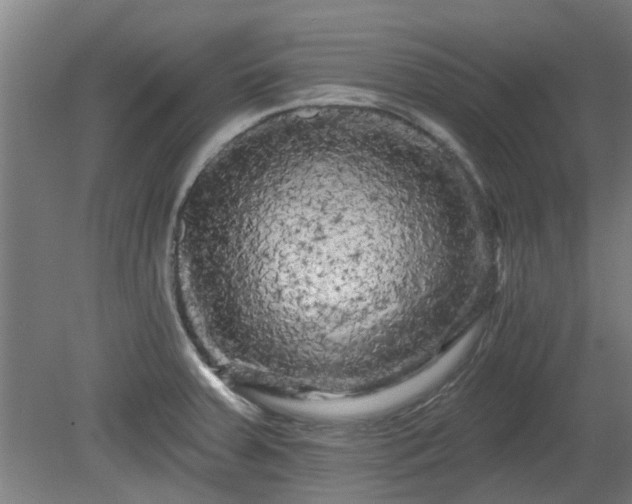 X0000080101379200612151610