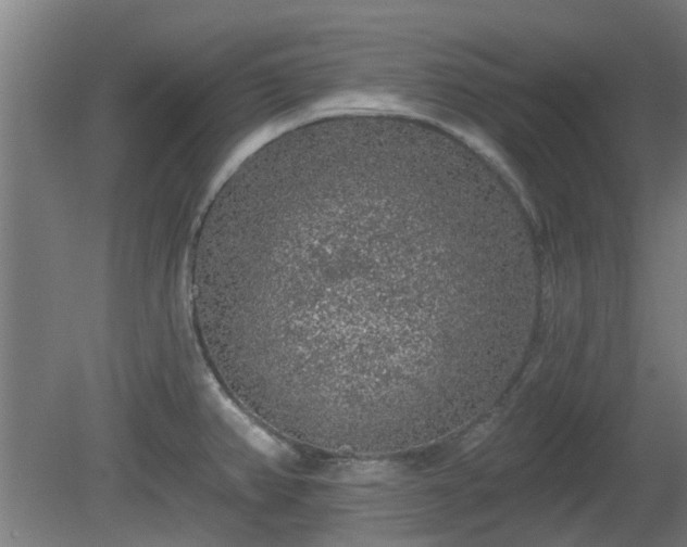 X0000080101382200612151610
