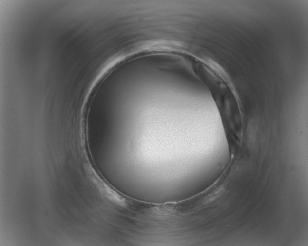 X0000080101384200612151610